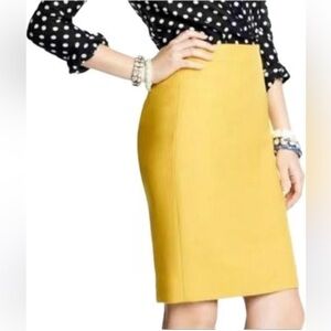 The Limited Pencil Skirt Size 16